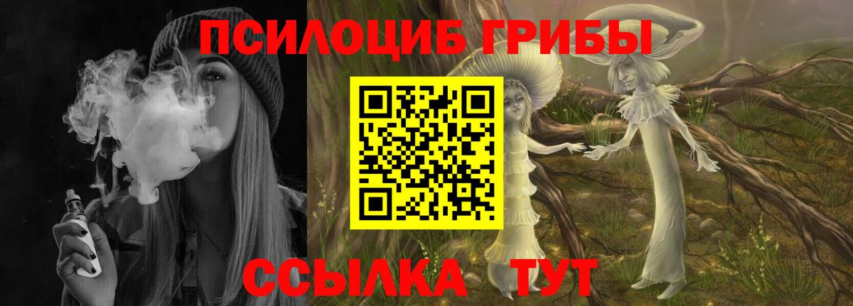 Псилоцибиновые грибы мицелий  Вход с VPN  Алексин  Псилоцибиновые грибы мицелий 